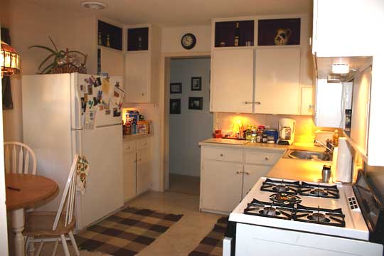 Kitchen from backdoor, looking north