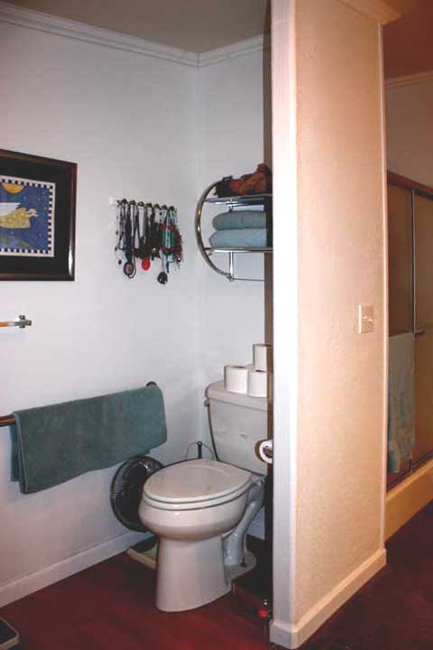 Master Bathroom commode and shower